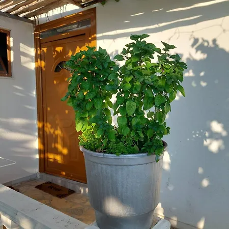 Guest house Antonio Qeparo