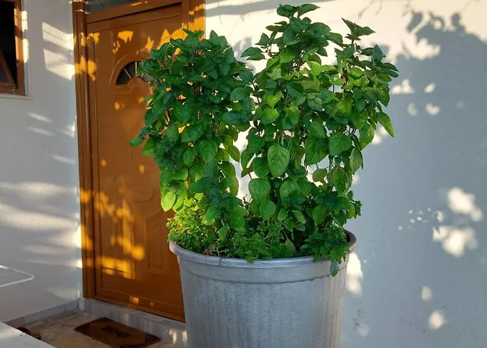 Penzion Antonio Qëparo